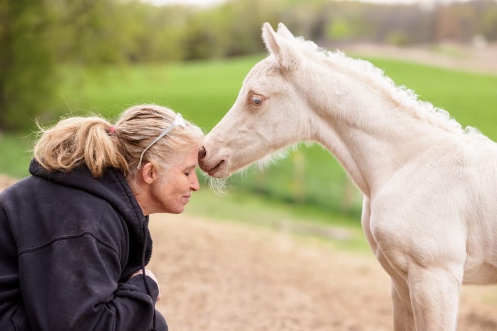 Whispering Meadows owner Carol shares a moment of affection with a cremello Morgan foal.