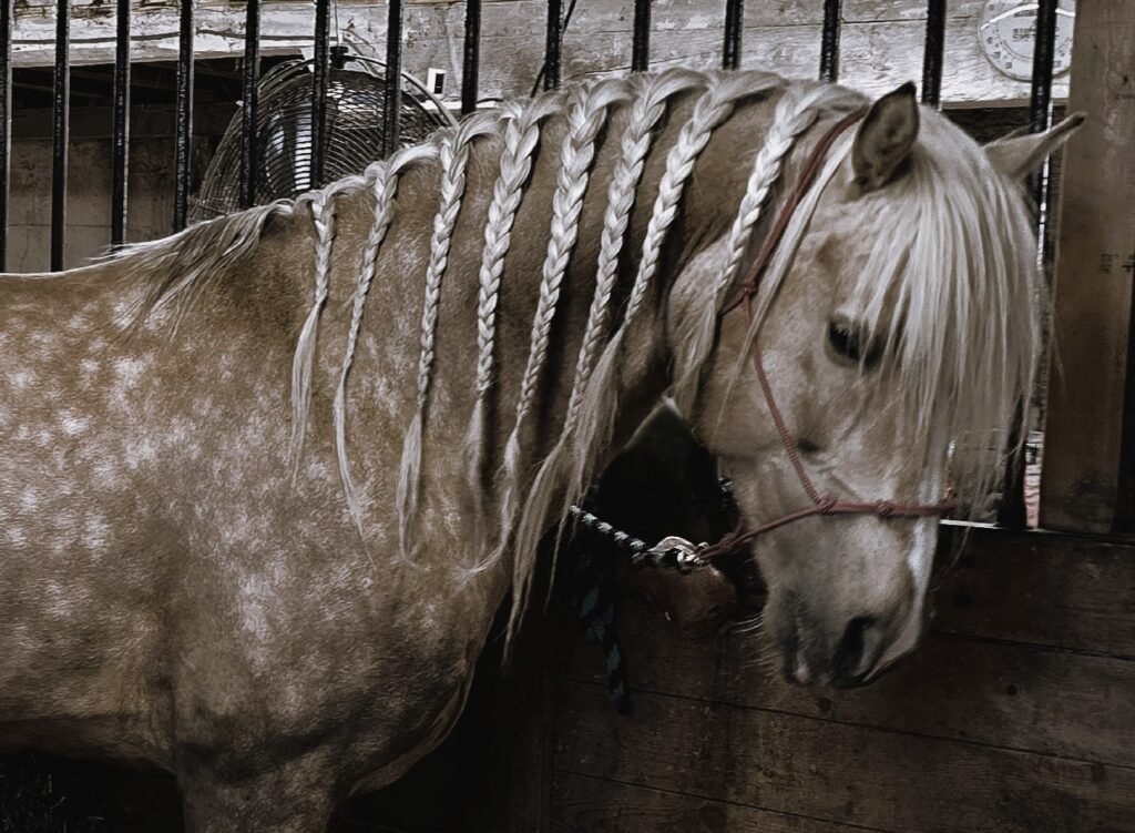 Milagro